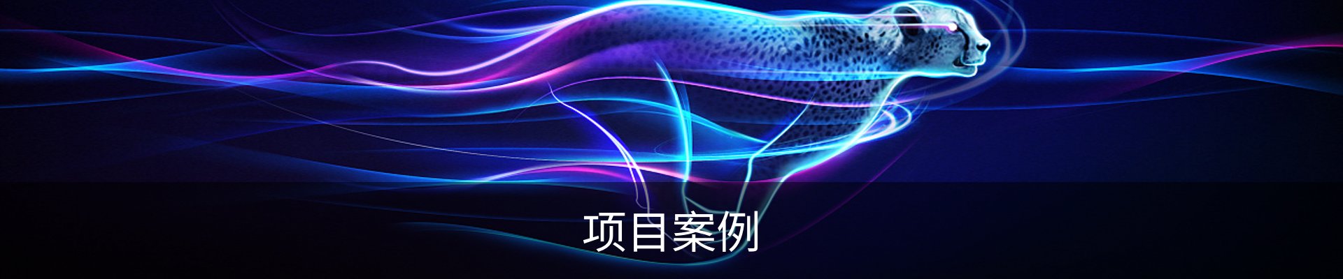 项目案例